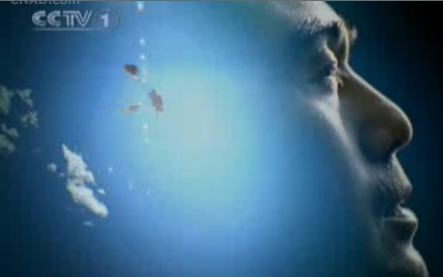 洋河男人的情懷