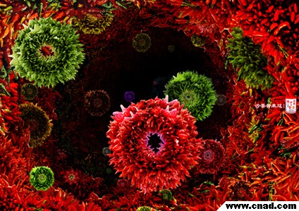 黑天工作室沙茶醬細胞篇