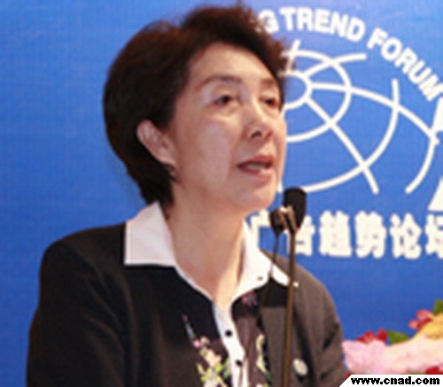 北大新聞與傳播學院常務副院長徐泓演講內容