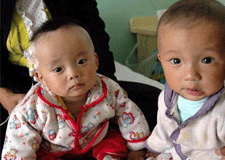 中國廣告業關注“三鹿”引發的風暴