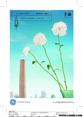 星光熠熠,BBDO雙喜臨門