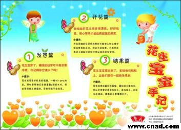 魯花滿羊城 香飄千萬家—魯花大型益智活動“種花生”實錄