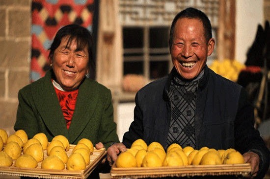 《舌尖》被10多家衛視搶購 紀錄片成搶手貨