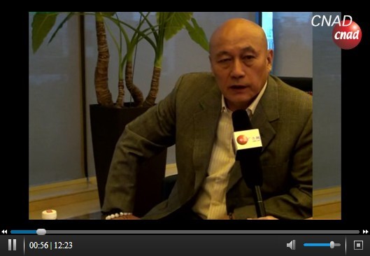 金印獎人物采訪-北京電通副總李西沙