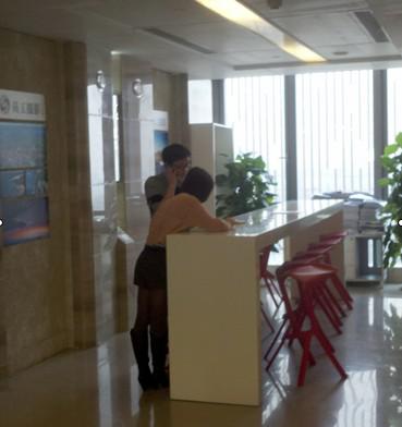 傾“新”媒體 鳳凰來儀