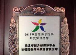 百視通榮獲2013年中國傳媒學院獎