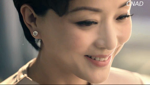 金像獎--北京天下美傳廣告有限公司\影視-左右家私