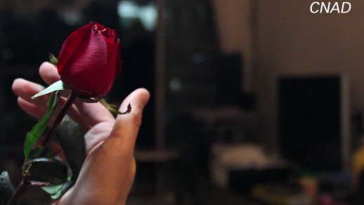 金像獎-新星獎--對家庭暴力說不