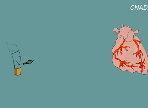 金像獎-新星獎--禁煙