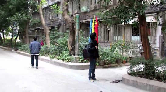 金像獎-新星獎--家庭暴力