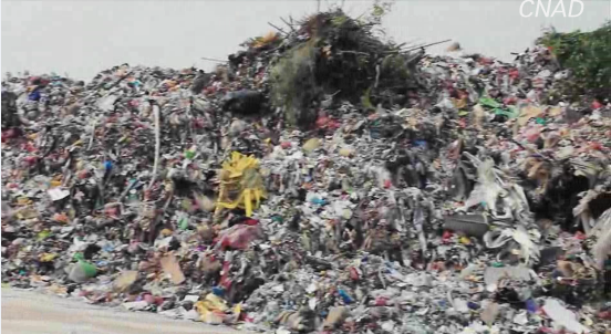 金像獎-新星獎--垃圾也想有個家