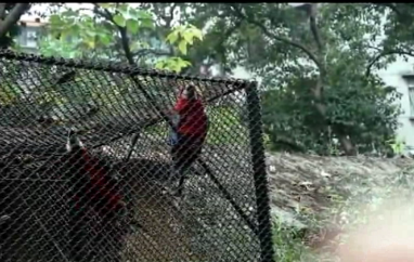 金像獎-新星獎--珍惜糧食 渴望自由 請給自由一點空間