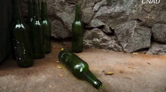 金像獎(jiǎng)-新星獎(jiǎng)--珍愛生命切勿酒駕