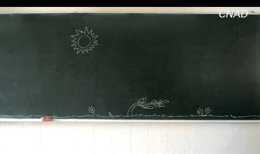 金像獎(jiǎng)-新星獎(jiǎng)--《關(guān)愛(ài)自然 從我做起》