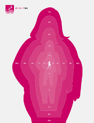 2010(第19屆)廣州日報華文報紙廣告獎-服務類-廣州美萊美容醫院《焦點》系列