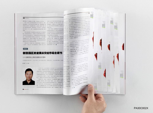 2013 龍璽創意獎--平面大獎金獎/紙割