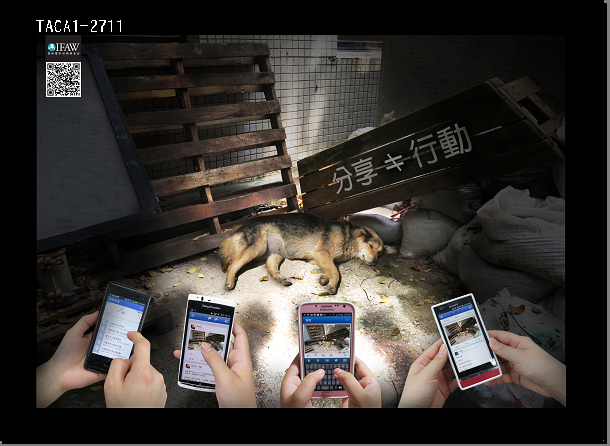 第23屆金犢獎獲獎作品_銀犢獎