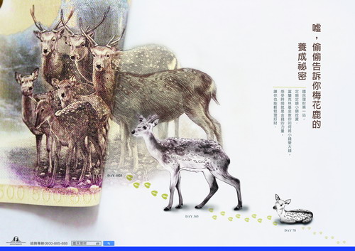 第23屆金犢獎獲獎作品_金犢獎