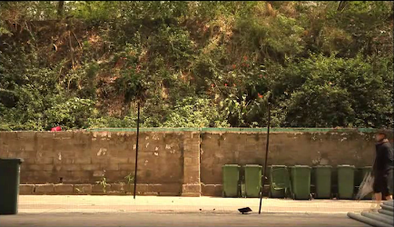 第23屆金犢獎獲獎作品_金犢獎