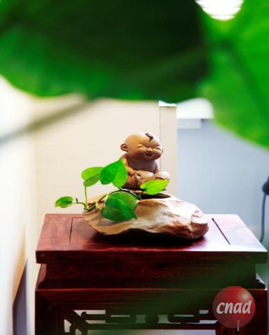 走進聲浪傳播公司2014新的家