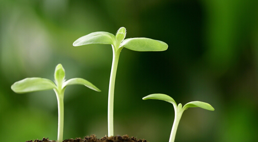 知識普及：國際4A公司的職位對照表