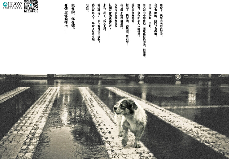 第23屆時報金犢獎/銀犢獎——一個人的擁抱