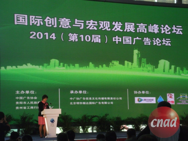 為前進謀出路，給發展支個招——國際創意與宏觀發展高峰論壇在黔舉行