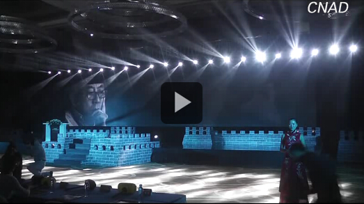 2014中國廣告長城獎頒獎典禮現場視頻