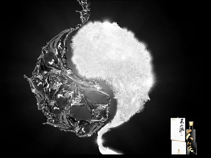 2010中國元素獎(jiǎng)銀獎(jiǎng)-物體類－天山派酒類包裝設(shè)計(jì)