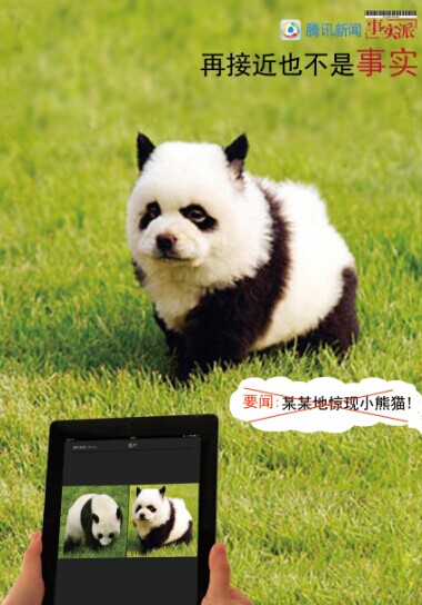 2014第十二屆學院獎等級獎作品-平面類-銅獎-再接近也不是事實