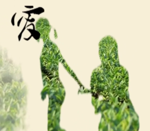 2015第十二屆學院獎等級獎作品-綜合類-碧生源綜合-銅-善、傳承