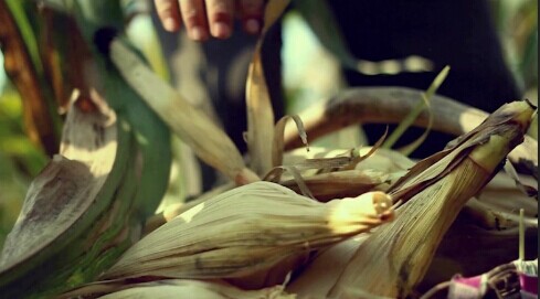 2015第十二屆學(xué)院獎(jiǎng)等級(jí)獎(jiǎng)作品-綜合類-碧生源綜合-銀-穡