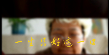 2015第十二屆學院獎等級獎作品-綜合類-黃老五綜合-銅獎-一生只好這一口