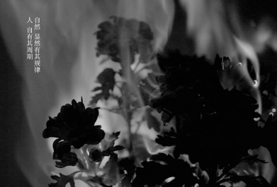 2015第十二屆學(xué)院獎(jiǎng)等級(jí)獎(jiǎng)作品-綜合類(lèi)-金立綜合-銅獎(jiǎng)-活出色彩