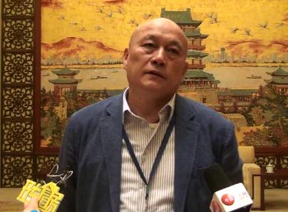 2015第十一屆中國廣告論壇人物采訪北京電通廣告公司副總經(jīng)理李西沙