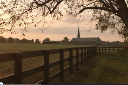 2015釜山國際廣告節(jié)作品How We Roll