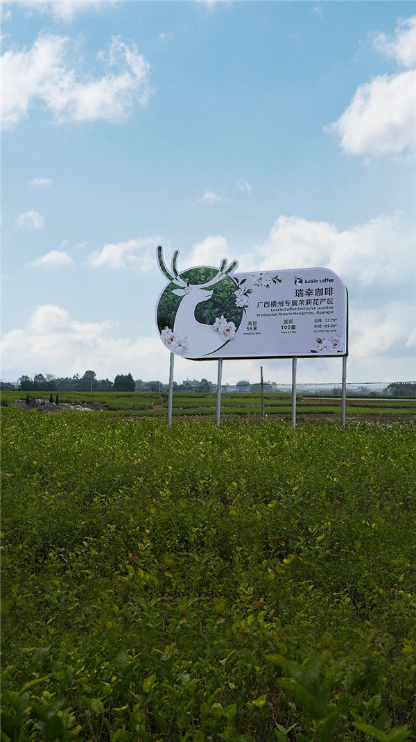 1749090929680443.jpg 3瑞幸首次入局果蔬茶.jpg