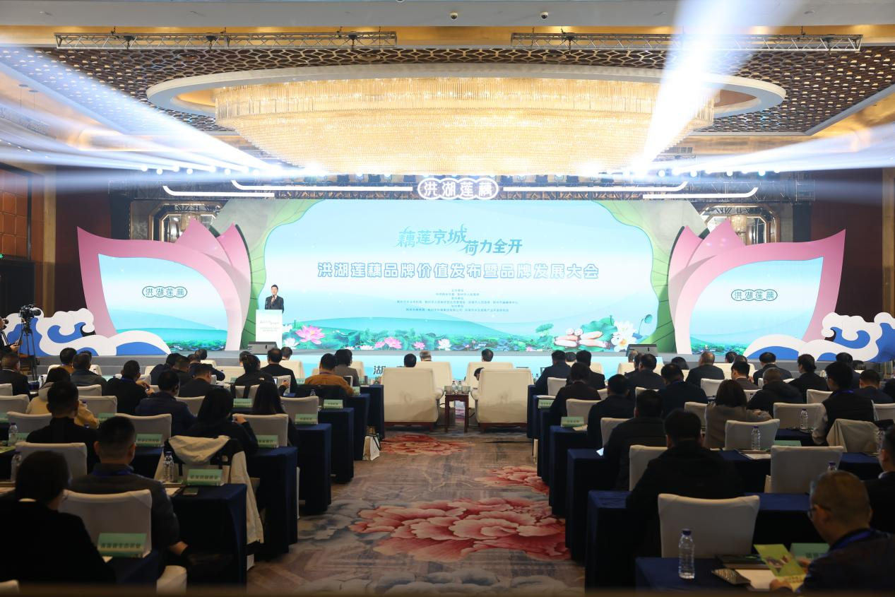 1762075408246967.png 圖片4.png