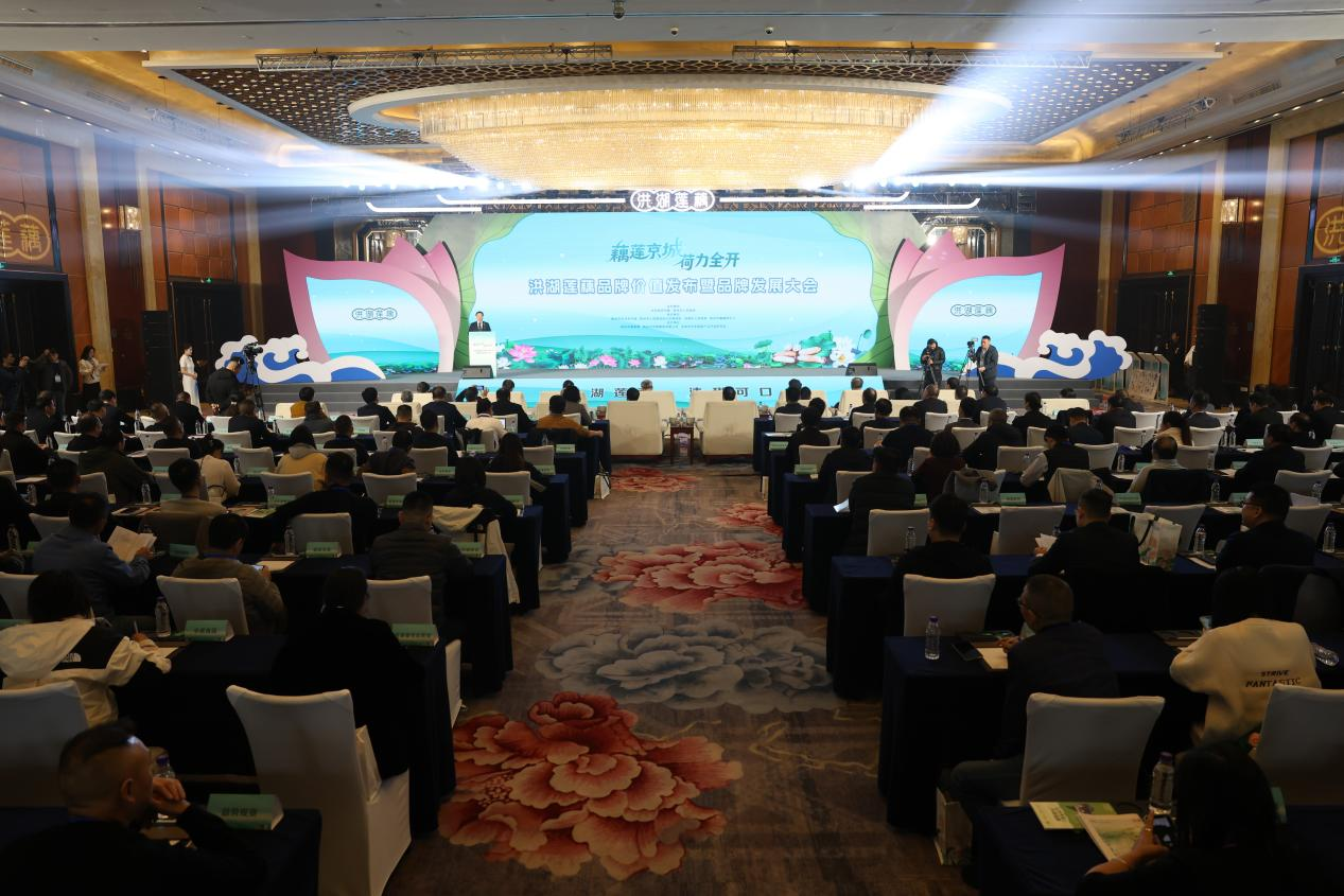 1762075517206258.png 圖片7.png