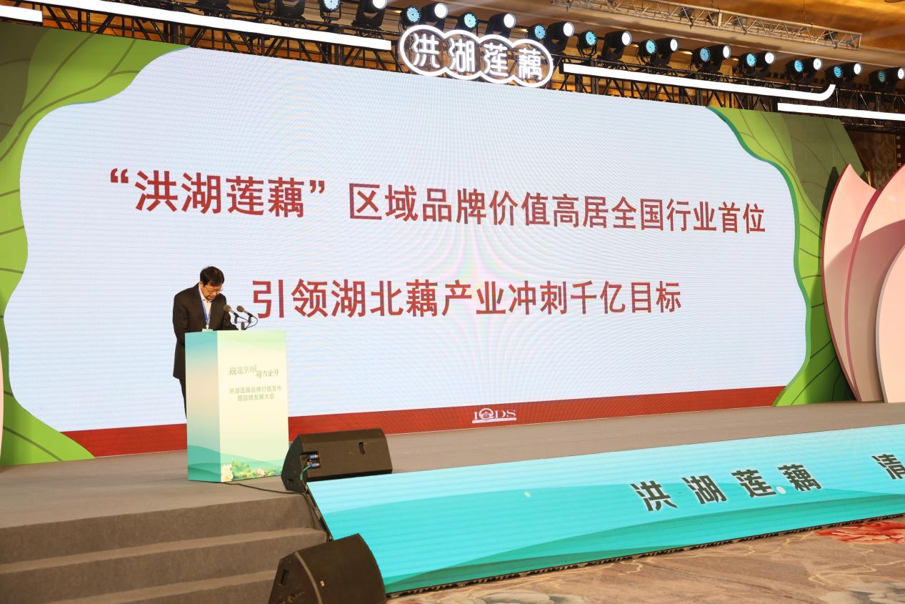 1762075756351545.png 圖片12.png