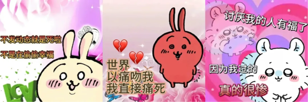 1762936149106348.png 15.png