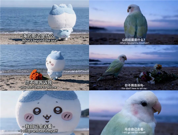 1763016035991797.jpg 06.jpg