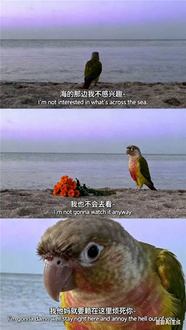 1763016041160273.jpg 07.jpg