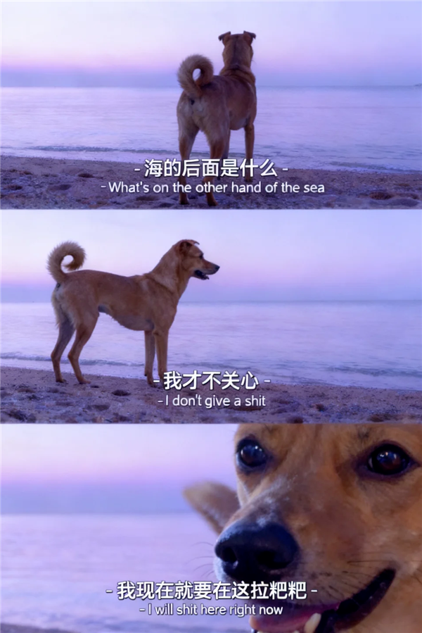 1763016051629783.png 08.png