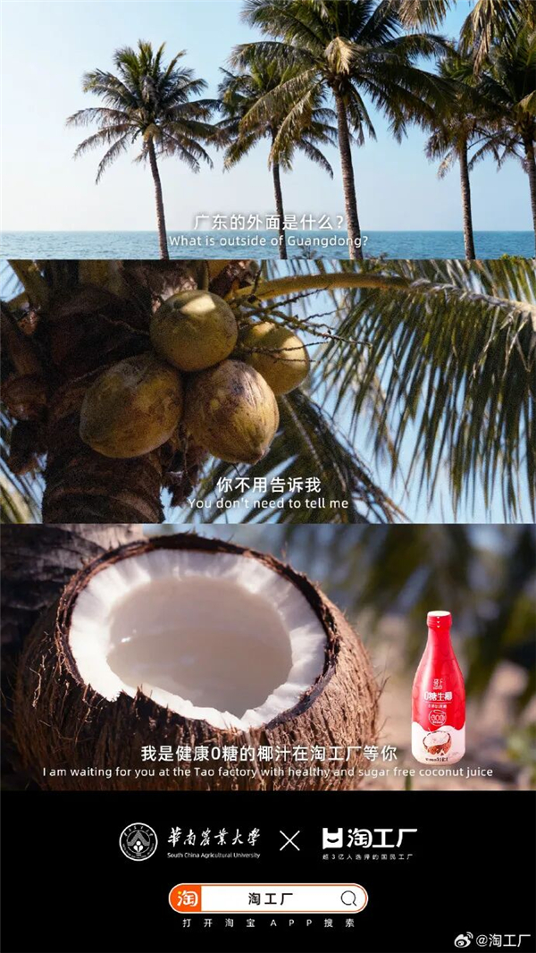 1763016061653852.jpg 09.jpg