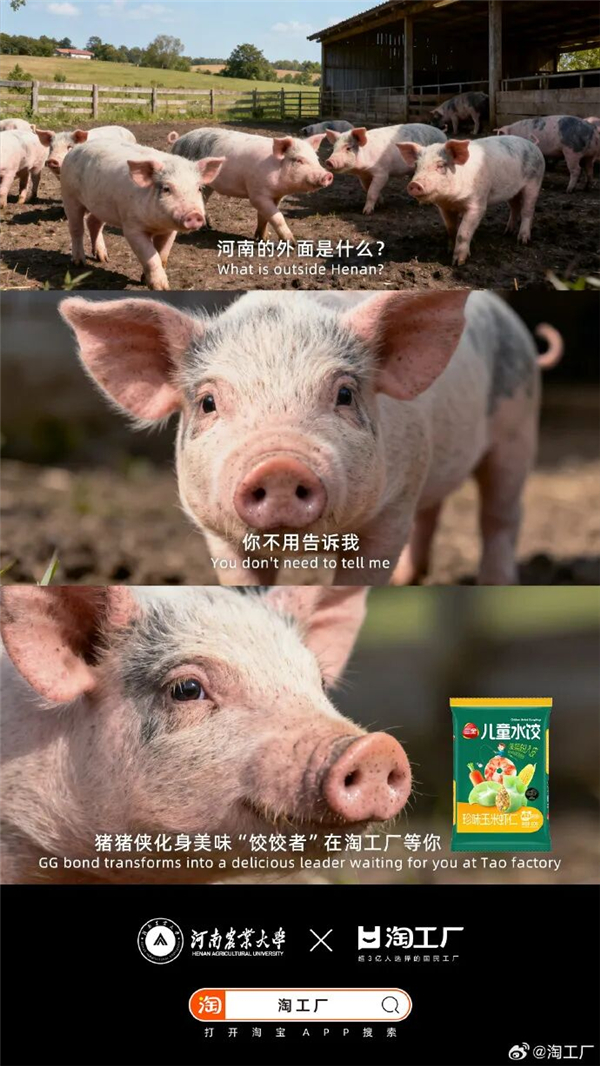 1763016103529754.jpg 10.jpg