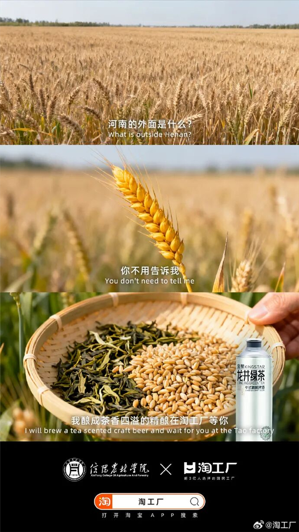 1763016149632318.jpg 14.jpg