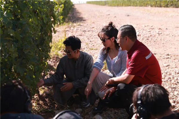 1763538461386609.jpg 4.jpg