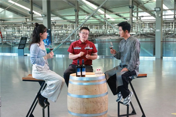 1763538476401880.jpg 5.jpg