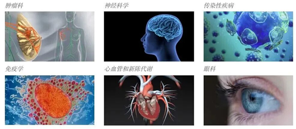 1763540522504398.jpg 14.jpg